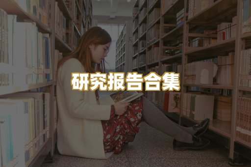 研究报告合集